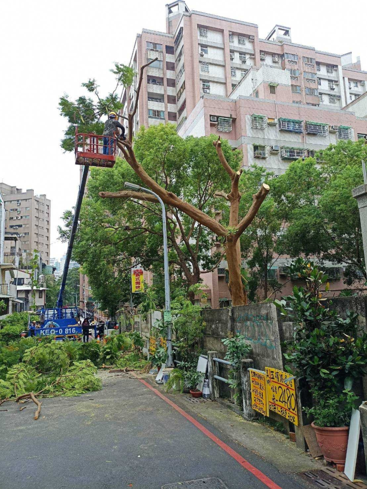 LINE_ALBUM_台中南屯區社區-高空樹枝修剪_240628_1