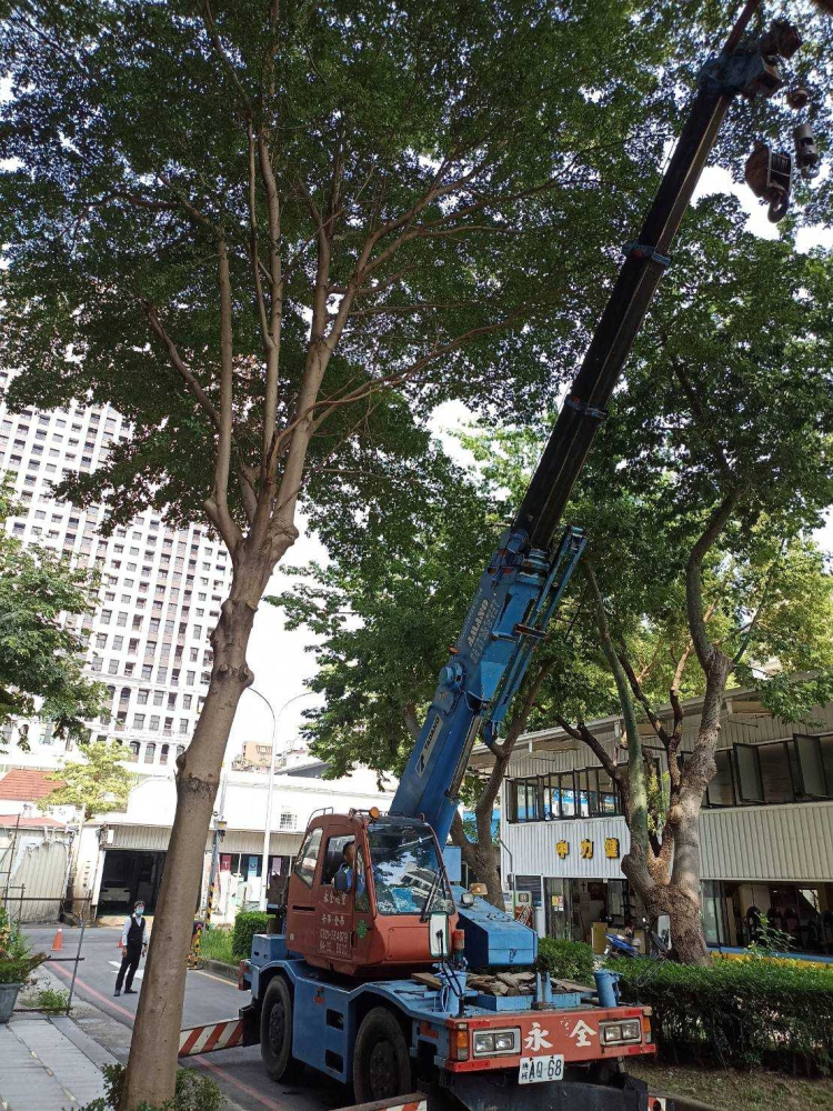 LINE_ALBUM_台中南屯區社區-高空樹枝修剪_240628_2