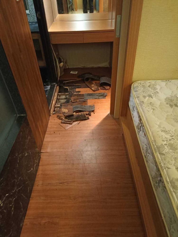 LINE_ALBUM_台中西屯區文心路住宅-木地板修繕_240628_2